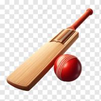 cricket project thumbnail