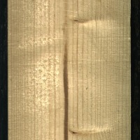 Wood defect instant project thumbnail