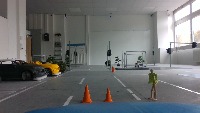 Dataset Image