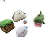 Dataset Image