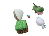 Dataset Image