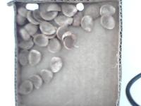 Cereal Data Set project thumbnail