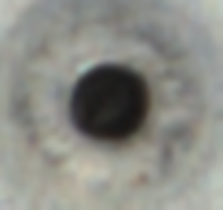 hole Object Detection Dataset by pan