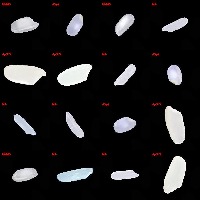 Segmentation Mask RCNN project thumbnail