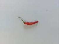 chillies project thumbnail