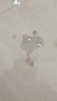 33333 project thumbnail