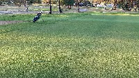 Golf Ball project thumbnail