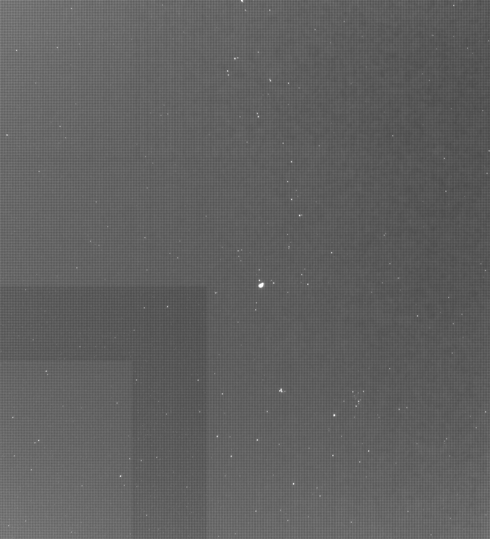 wafer-defect Object Detection Dataset by new-workspace-rhhbu