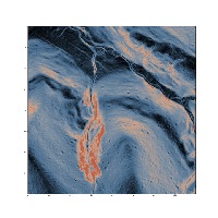 Dataset Image