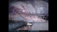 case125-132 project thumbnail