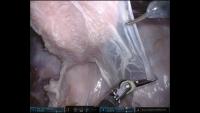 case123 project thumbnail