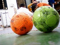 Sports ball clour identify project thumbnail