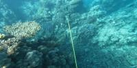 coralscapes project thumbnail