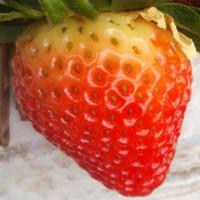 STRAWBERRY RİPENESS project thumbnail