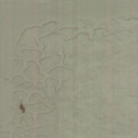 Masonite Classification project thumbnail