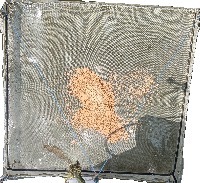 checktray-segment project thumbnail