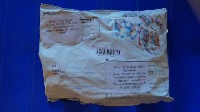 Dataset Image