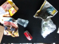 Dataset Image