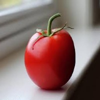 ingredient project thumbnail