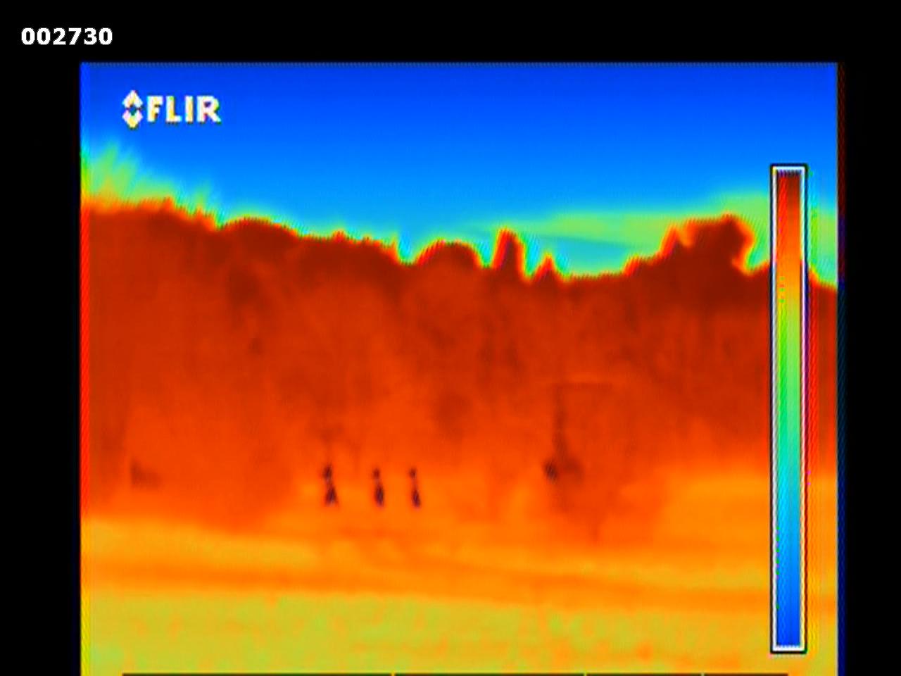 My First Project Object Detection Dataset by Temp Workspace
