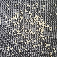 Rice-detection project thumbnail