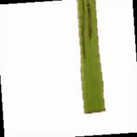 RIce-Leaf-Disease-version-1 project thumbnail