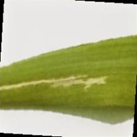 Disease-Detection-One project thumbnail