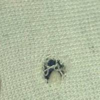 Fabric Defects (5-class) project thumbnail