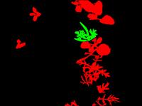 crop-weed-segmentation project thumbnail