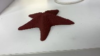 My First Project project thumbnail