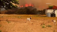 Wildfire Detection with Bounding Boxes project thumbnail