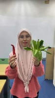 Vege2 project thumbnail