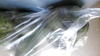 paltas_lateral project thumbnail