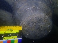Hull Scan project thumbnail