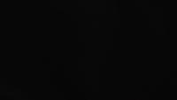 First Detection Test  project thumbnail
