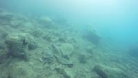 Marine litter project thumbnail