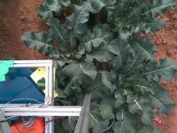General Plants Robot Images project thumbnail