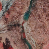 Detect, Count, And Visualize Instance Segmentation project thumbnail
