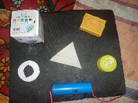 Dataset Image