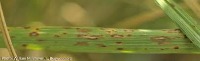 detect project thumbnail