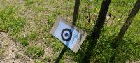 target board project thumbnail