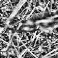 Multi_crop project thumbnail