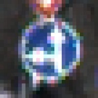 Dataset Image