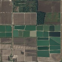 Crop Field Instance Segmentation project thumbnail