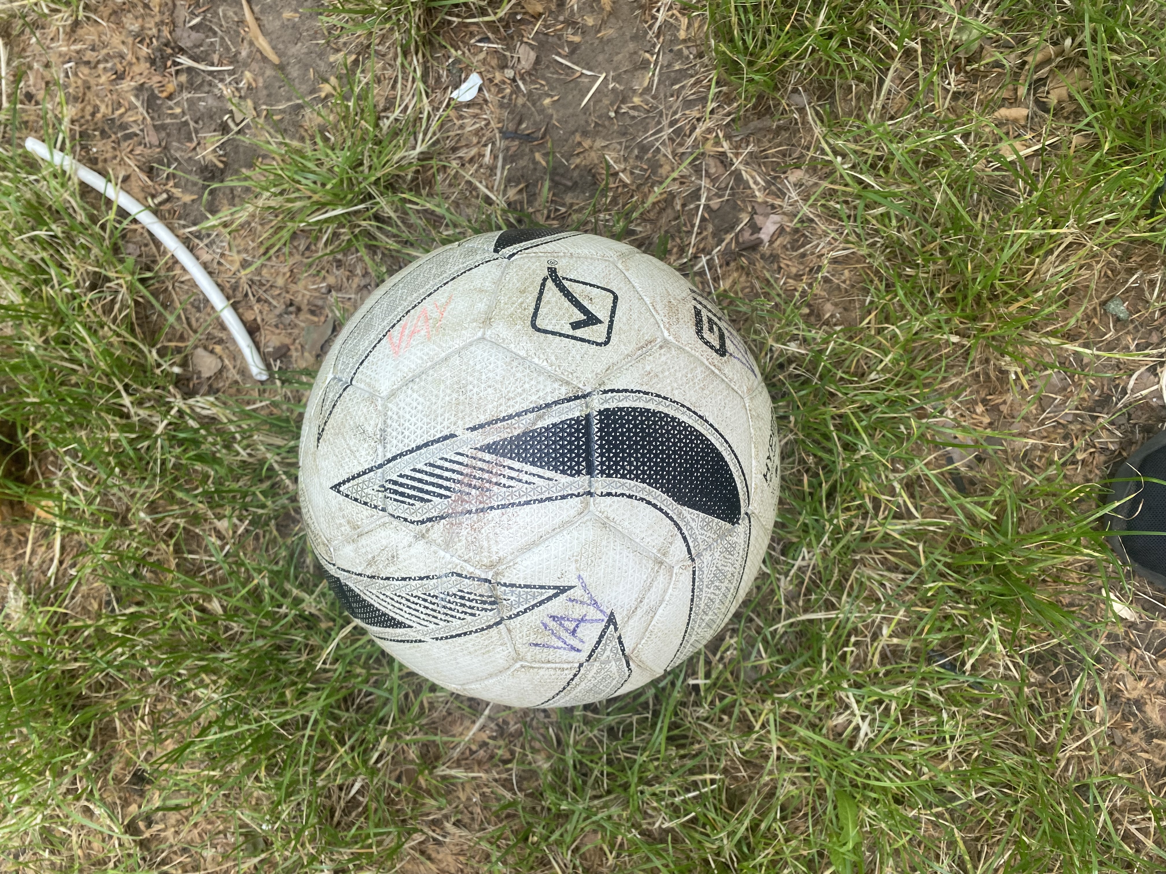 Ball detection Object Detection Model by Szakdolgozat