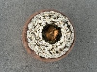 Cap Coating Classification project thumbnail