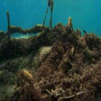 water waste project thumbnail