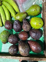Avocado Defect Detection Object Detection Model by NeuranTechno