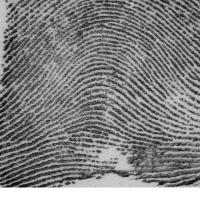 Criminal_prints project thumbnail
