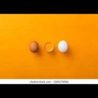 chickegg3 project thumbnail
